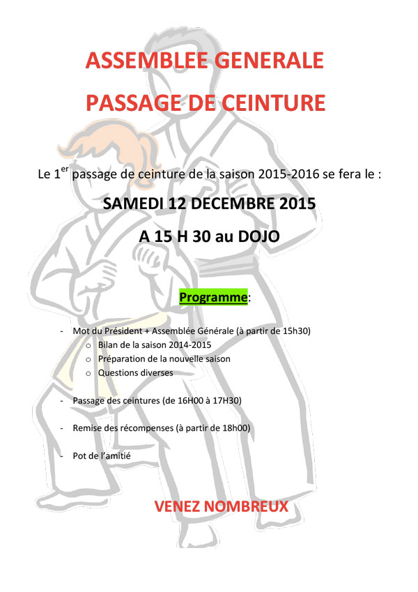 Karaté Biganos passage ceinture décembre 2015